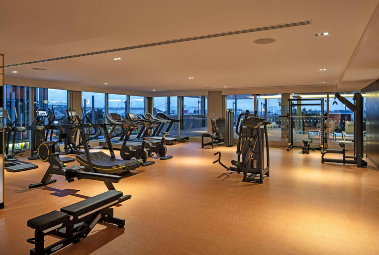 Others 4, Park Hyatt Auckland, Waitakere
