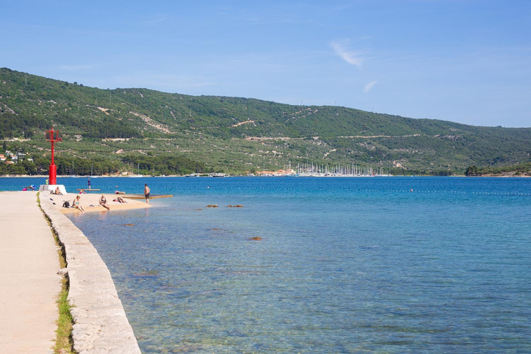 Others 5, Mamin san, Cres