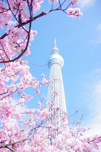 Exterior & Views 1, Tokyo Cherry Blooming Hotel Ueno 3 minutes from Tokyo Super Center Ueno Park and 1 minute from the subway. Excellent location and super bustling. Free wifi Dyson hair dryer EOA, Bunkyō