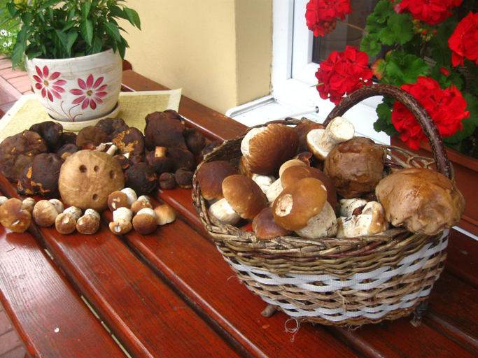 Food & Drinks 3, Agroturystyka Lesny Zakatek, Sucha