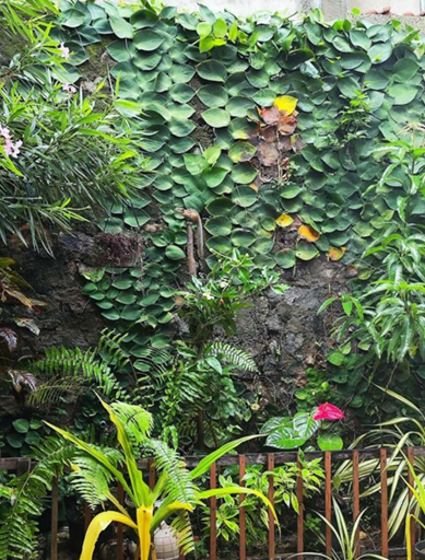 Others 5, Rosy guest house., Weligama
