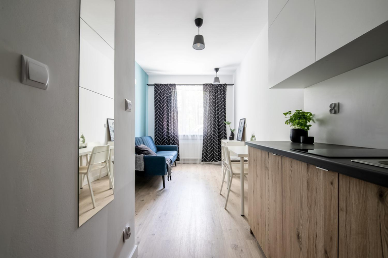 ADLER Room Suite -- prywatna lazienka, dostep na kod, parking, Łódź