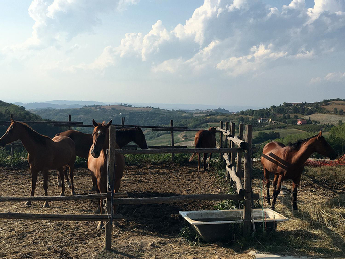 Maison Christine - Family Farm, Cuneo