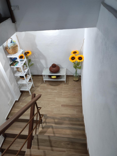 Others 5, CASA DONELA, Santa Cruz de Tenerife