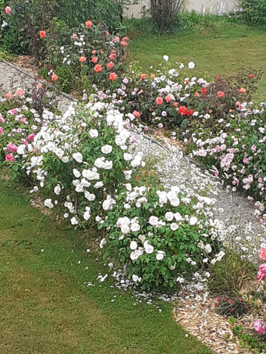 Garden 5, La Tremouchere, Mayenne