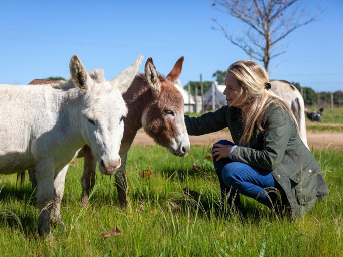 Others 2, Rivergate Guest Farm, Overberg