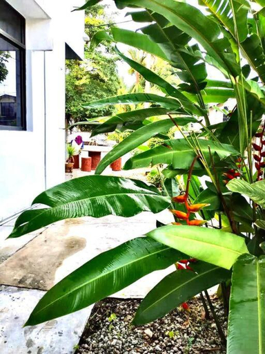 Others 3, SUPER COMFY HOME @ KULIM CITY, Kulim