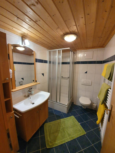 Bathroom, Praau-Gut, Sankt Johann im Pongau