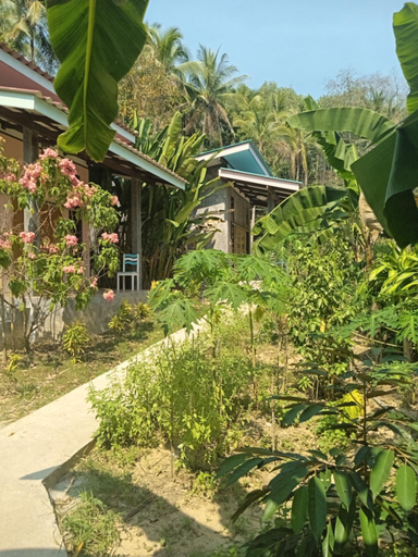 Others 3, Chom Suan Farmstay, K. Ko Kut