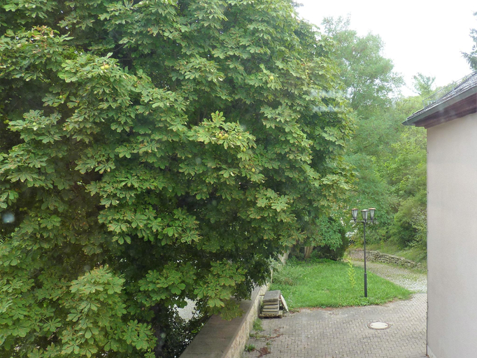 Scenery 18