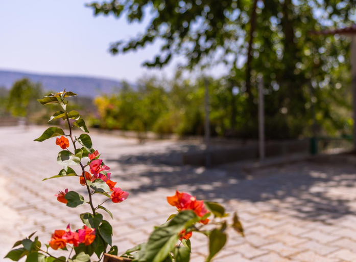 Others 5, AGACH Aparts-Savran, Milas