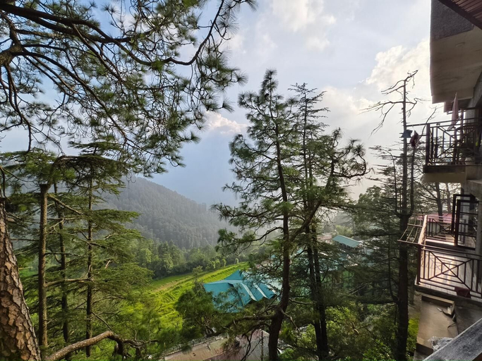 Others 4, Pineview, Shimla