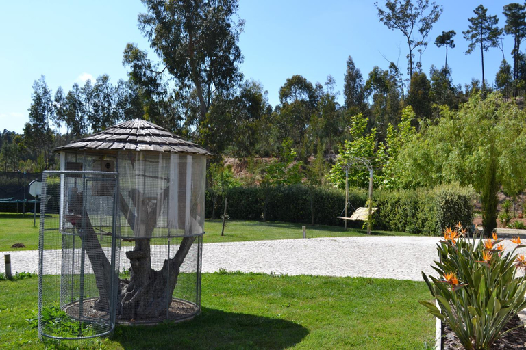 Others 2, MountView, Alenquer