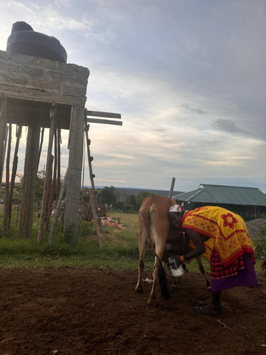 Others 2, Luluka Guest House, Narok West