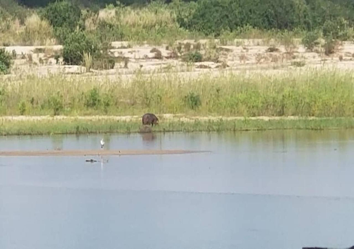 Others 2, Nje Bush Camp, Rufiji