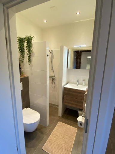 Bathroom 3, Noflik Heerenveen, Heerenveen