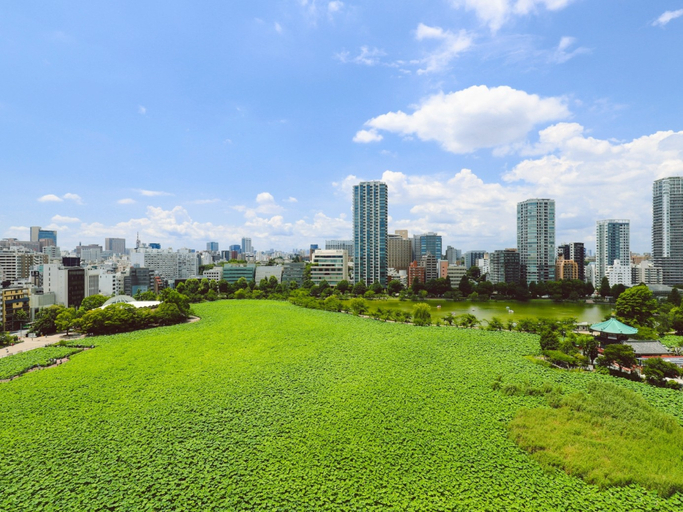 Scenery 1