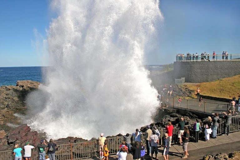 Beachside Budget Rooms, Kiama