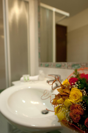Bathroom 4, Hotel Roma, Varese