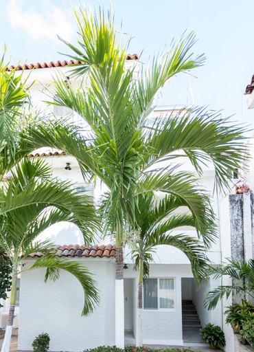 Exterior view 1, Villa Lupita, José Azueta