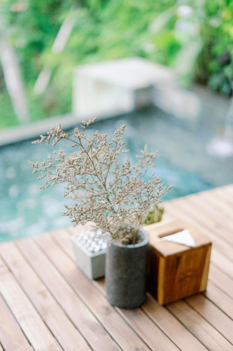 Swimming Pool 13
