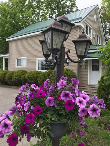 Others 5, Winsome Inn, Charlotte