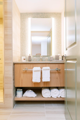 Bathroom 4, The Ryder Hotel, Charleston