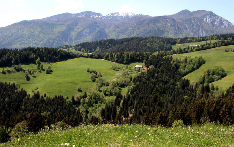 Others 3, Farmstay Hisa Pecovnik, Luce