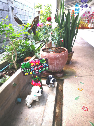Others 4, Ban Maitree, Muang Chiang Mai