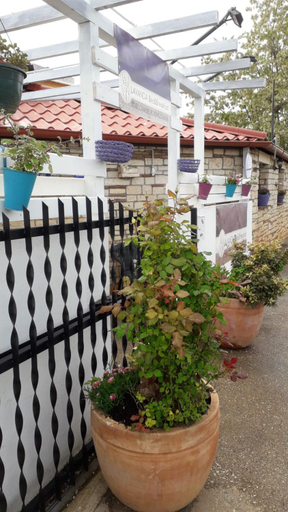 Others 4, B&B LAVANDA , Finida-Umag, Umag