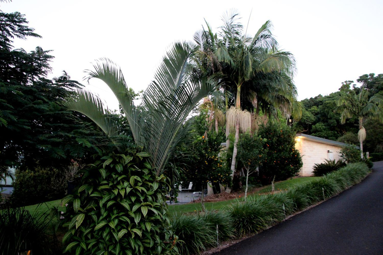 Others 3, Alstonville Country Cottages, Ballina