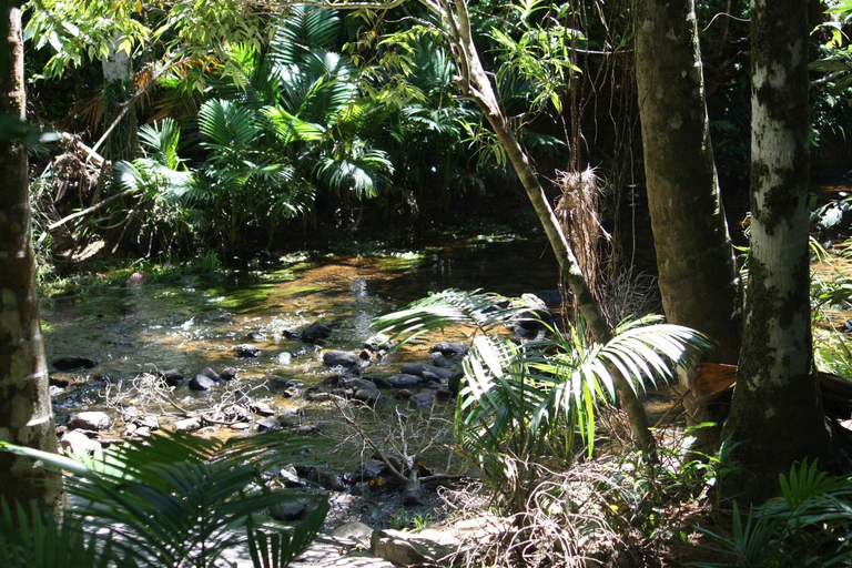Others 3, Boutique Bungalows, Cardwell