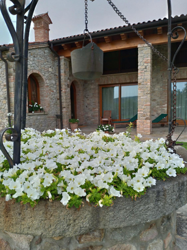 Others 4, Alloggio Franciscus, Padua