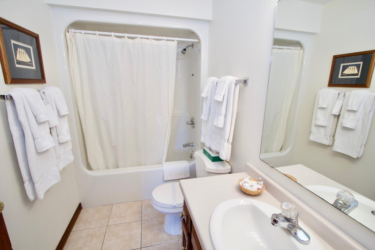Bathroom 2, Baileys Harbor Yacht Club Resort, Door