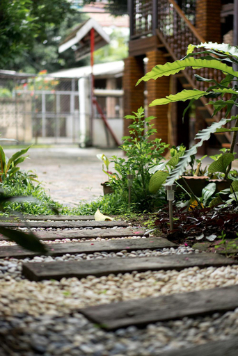 Others 5, Sarah Guest House, Muang Chiang Mai