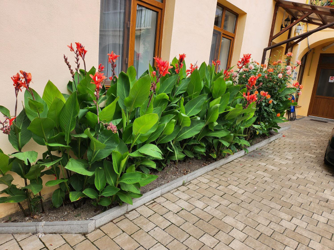 Others 4, 4Rooms Central Sibiu, Sibiu