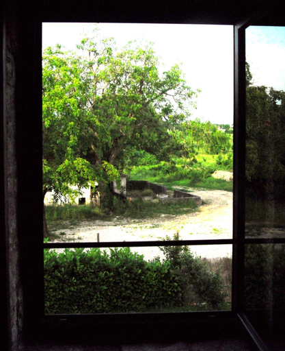 Scenery 8