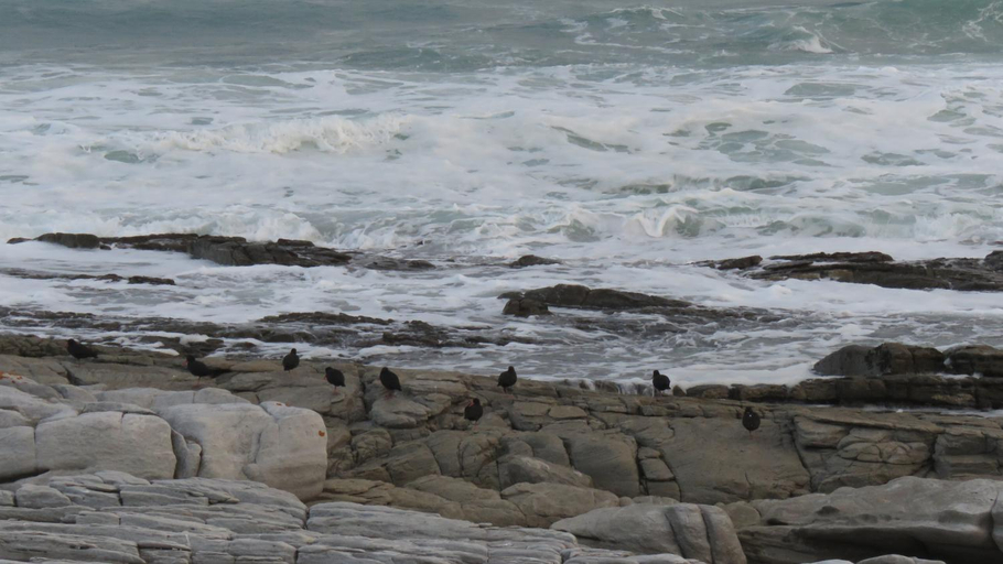 Others 4, L Agulhas,Main @ 51, Overberg