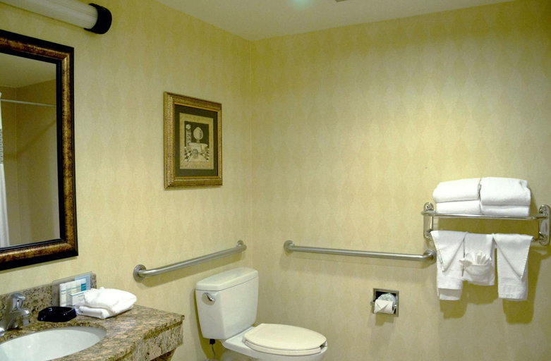 Bathroom 4, Hampton Inn & Suites Birmingham-Pelham (I-65), Shelby