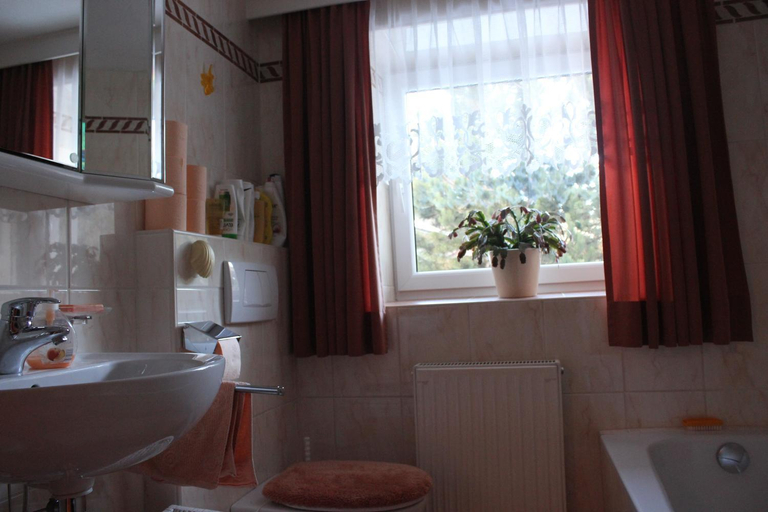 Bathroom 3, sonnberg, Landeck