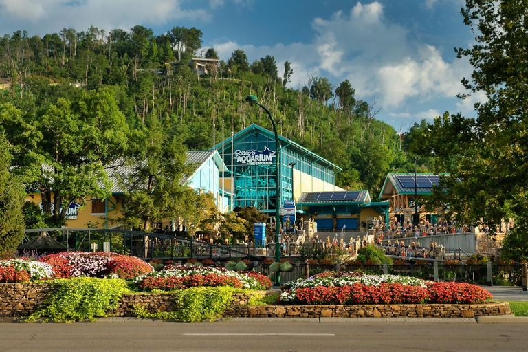 Stylin In The Smokies by Distinctive Getaways, Sevier
