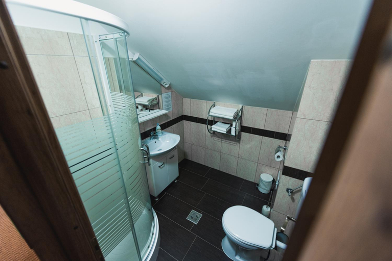 Bathroom 2, Pensiunea Valea cu Salcami, Viseu De Jos
