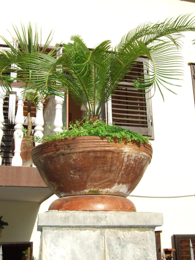 Others 5, Casa SERGIO Budva Rooms & Apartments