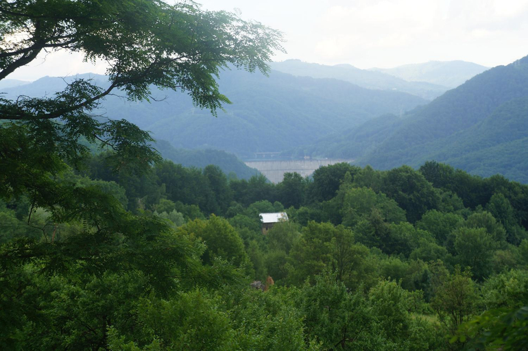 Others 4, Casa Paltinu, Sotrile