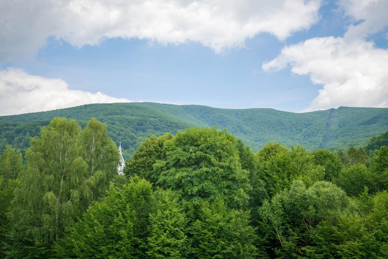 Others 5, Vovk Gasthaus, Mukachivs'kyi