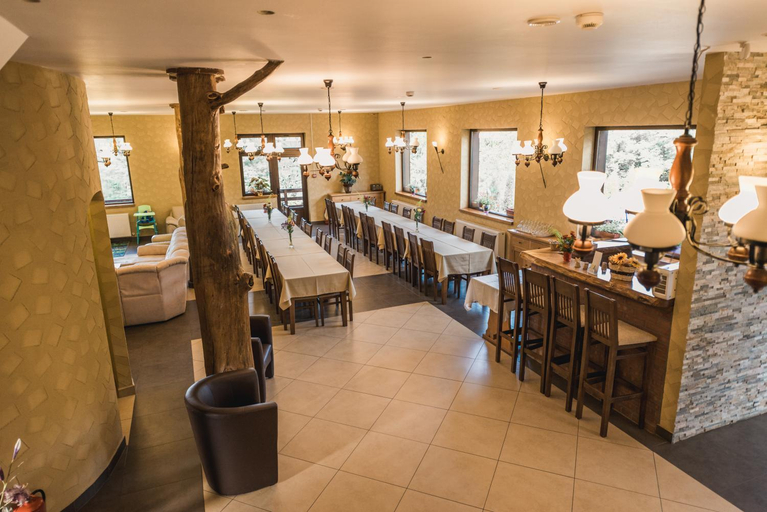 Food & Drinks, Pensiunea Valea cu Salcami, Viseu De Jos