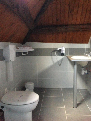 Bathroom 4, Logis Auberge De La Plaine, Aube