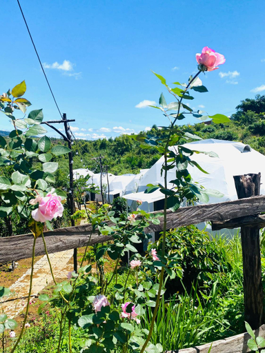 Others 5, Ventosa HomeFarm - Venuestay, Kon Plông