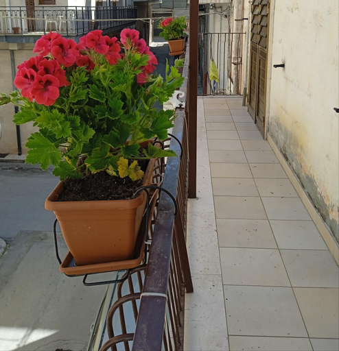 Others 4, B&B La casa dell'ospite, Bari
