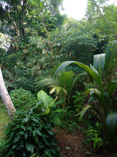 Others 3, Villa Ameliya, Habaraduwa